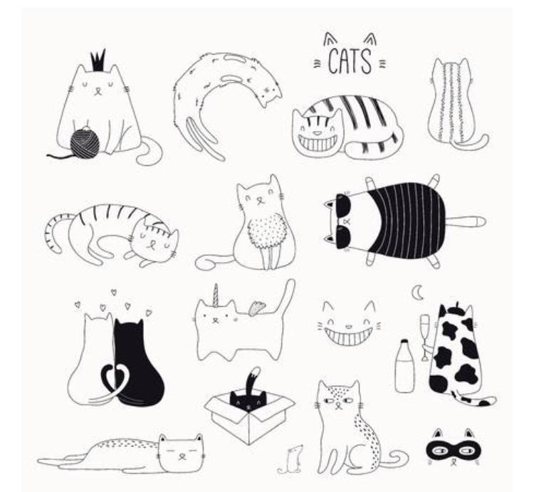 KEDİLERDE BEDEN DİLİ